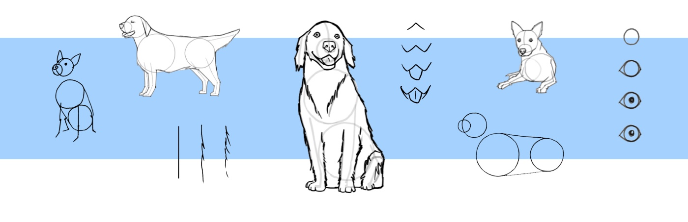 How To Draw A Dog Step By Step 🐕 Dog Drawing Easy | Hi Everyone, In This  Video I Show You How To Draw A Dog Step By Step 🐕. Follow My