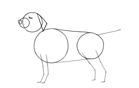 How to Draw Dogs in 4 Easy Steps! - Emily's Notebook