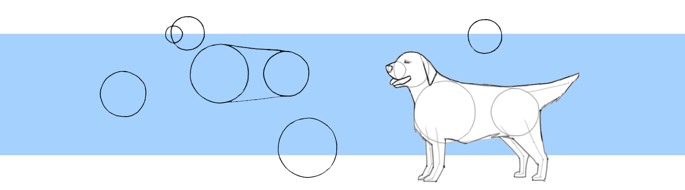 Как нарисовать собаку: 25 лучших способов - Лайфхакер