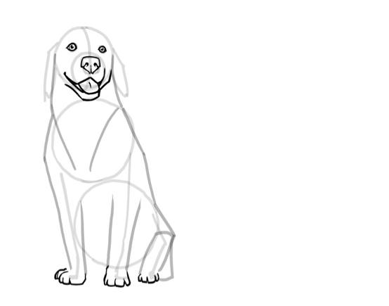 Learn to draw your dog with Rodman Library