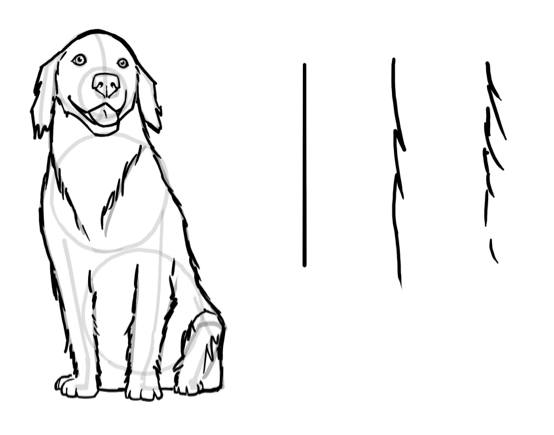 47,900+ Dog Sketch Stock Illustrations, Royalty-Free Vector Graphics & Clip  Art - iStock | Dog, Vintage dog sketch, Dog drawing