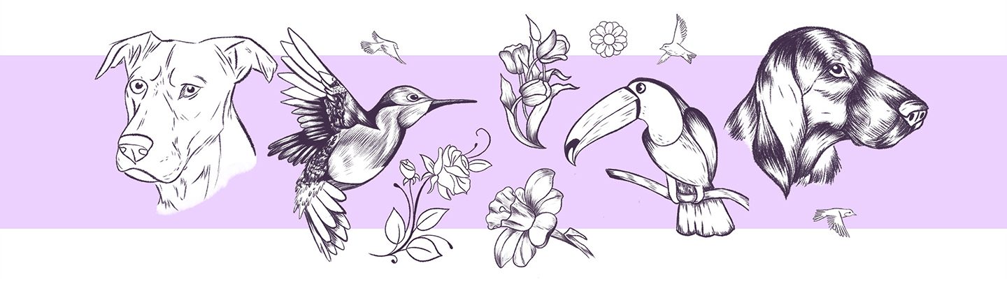 File:鳥獣略画式-Abbreviated Drawing Styles for Birds and Animals (Chōjū ryakuga  shiki) MET JIB055 010.jpg - Wikimedia Commons